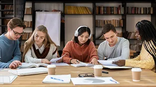 Active Learning